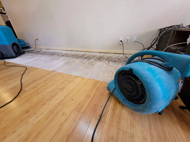 Professional Water Extraction technician working in Maplewood, OH